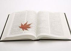 中国平安2026春招启动：面向全球招聘超4500岗位，聚焦科技、医疗、养老人才